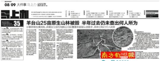 深圳“羊台山原生山林被毁”事件最新进展：涉案两当事人被处罚