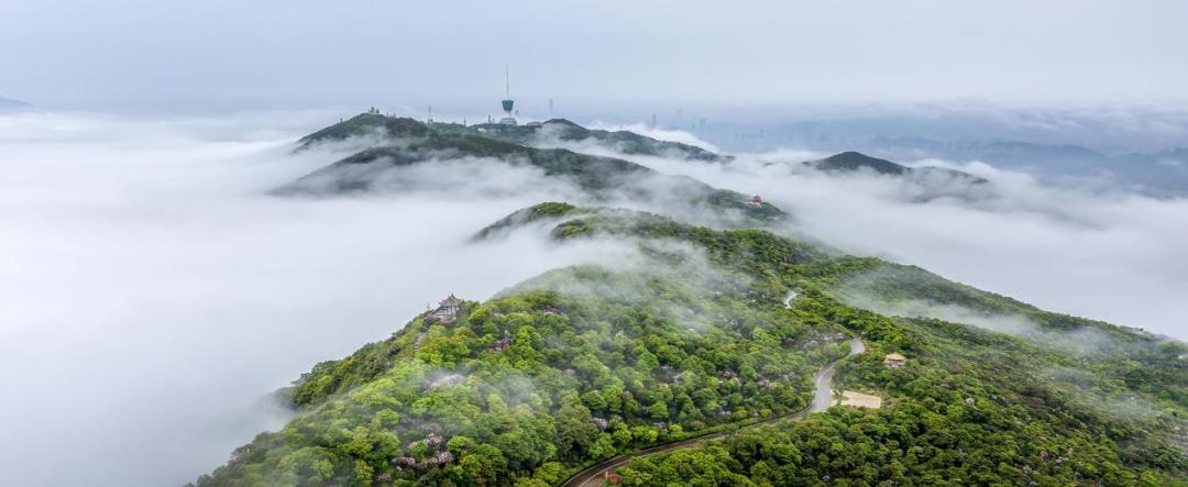 深圳八大生态旅游精品线路
