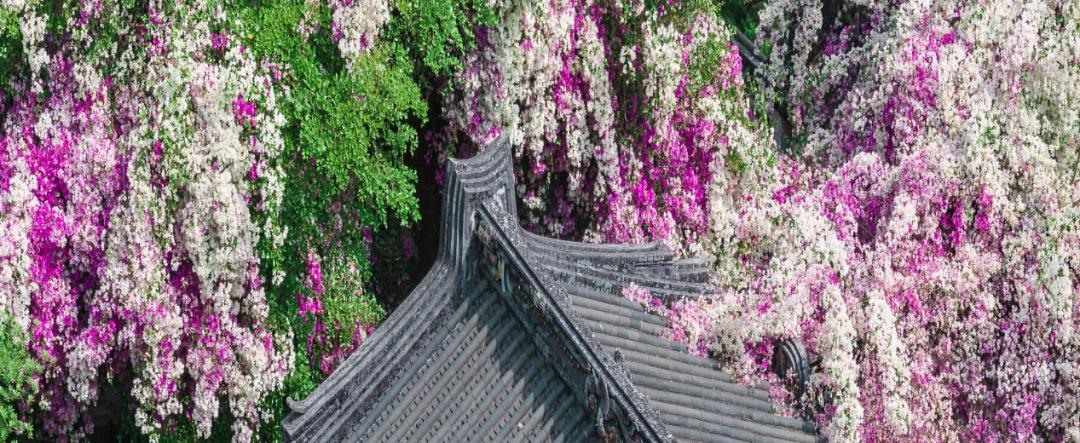 深圳八大生态旅游精品线路