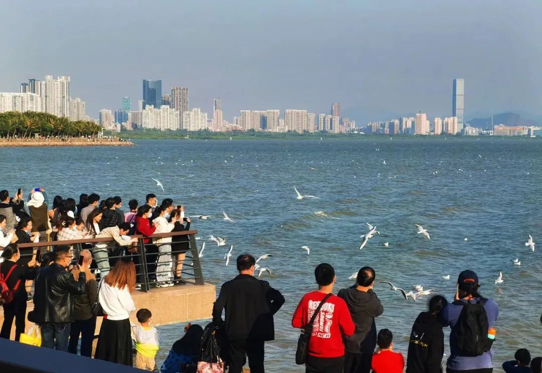 超美照片，让你爱上“美丽深圳”！
